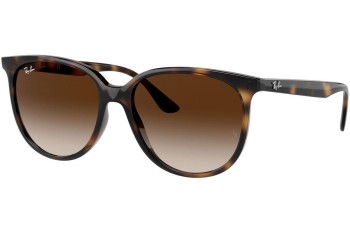 Ochelari de soare Ray-Ban RB4378 710/13 Pătrați Havana