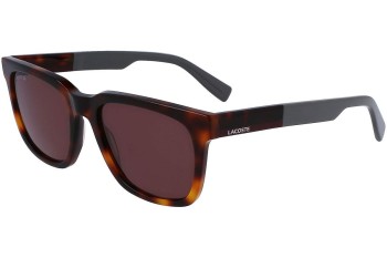 Solbriller Lacoste L996S 214 Firkantet Havana