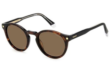 Solbriller Polaroid PLD4150/S/X 086/SP Polarized Oval Havana