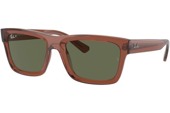 Okulary przeciwsłoneczne Ray-Ban Warren RB4396 66789A Prostokątne Brązowe