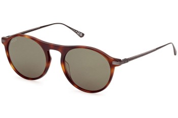 Ochelari de soare Web WE0346 52N Rotunzi Havana