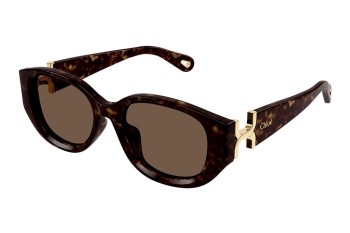 Solbriller Chloe CH0237SK 002 Oval Havana