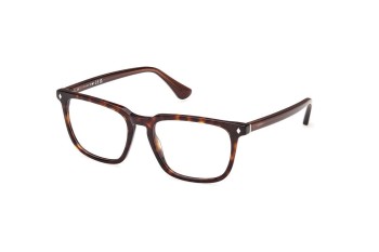 Ochelari Web WE5430 056 Pătrați Havana