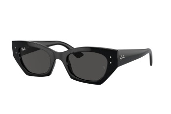 Sončna očala Ray-Ban RB4430 667787 Zgornji okvir Črna