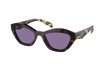 Solbriller Prada PRA02S 17N50B Cat Eye Havana