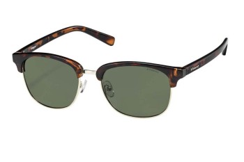 Zonnebril Polaroid PLD1012/S PR6/H8 Polarized Browline Havana