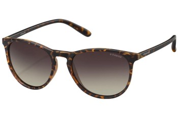 Ochelari de soare Polaroid PLD6003/N/S V08/LA Polarized Rotunzi Havana