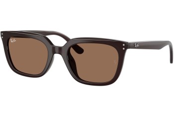 Aurinkolasit Ray-Ban RB4439D 623173 Kulmikkaat Ruskea