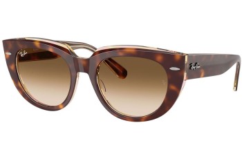 Napszemüvegek Ray-Ban RB2286 141451 Szogletes Havana