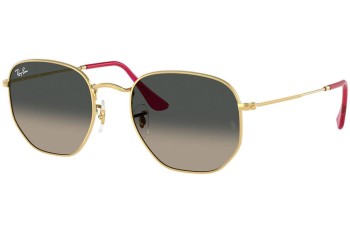 Sončna očala Ray-Ban Hexagonal RB3548N 001/71 Okrogla Zlata