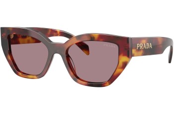 Aurinkolasit Prada PRA09S 22A20I Cat Eye Havana