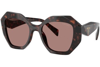 Okulary przeciwsłoneczne Prada PR16WS 17N60B Nieregularny Havana