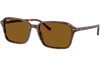 Okulary przeciwsłoneczne Ray-Ban RB2231 141833 Kwadratowe Brązowe