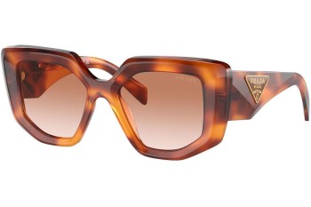 Ochelari de soare Prada PR14ZS 18R70E Specială Havana