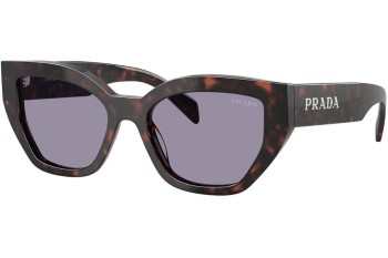 Solbriller Prada PRA09S 17N03N Cat Eye Havana