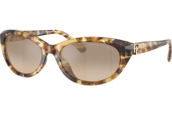 Solbriller Ralph Lauren RL8226U 60566Y Cat Eye Havana