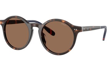 Ochelari de soare Polo Ralph Lauren PH4204U 567373 Rotunzi Havana