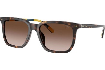 Sunglasses Polo Ralph Lauren PH4224U 500313 Kwadratowe Havana Sunglasses Polo Ralph Lauren PH4224U 500313 Kwadratowe Havana