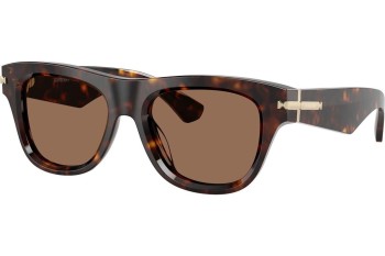 Solbriller Burberry BE4438U 300273 Cat Eye Havana