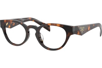 Brillen Prada PRA11VD 14L1O1 Cat Eye Havana