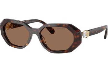 Solbriller Swarovski SK6028 100273 Cat Eye Havana