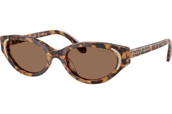 Solbriller Swarovski SK6030 104073 Cat Eye Havana