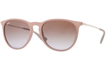 Zonnebril Ray-Ban Erika Classic RB4171 600068 Ronde Bruin