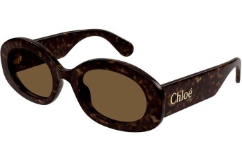 Solbriller Chloe CH0258S 002 Oval Havana