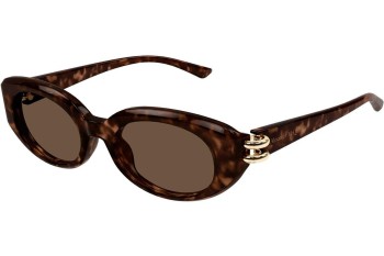 Solbriller Alexander McQueen AM0469S 002 Oval Havana