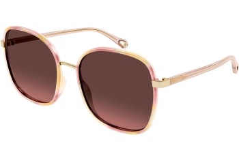 Solbriller Chloe CH0031S 014 Firkantet Pink