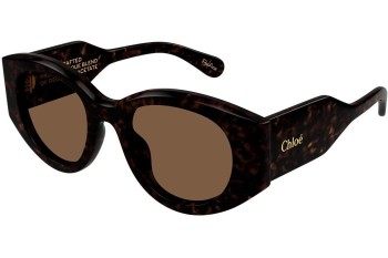 Solbriller Chloe CH0251S 002 Rund Havana