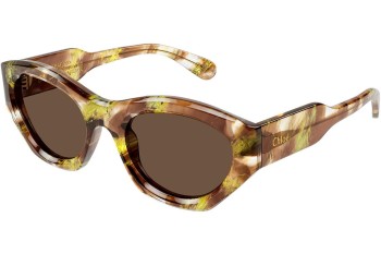 Solbriller Chloe CH0220S 010 Cat Eye Havana