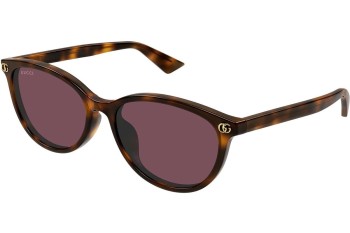 Okulary przeciwsłoneczne Gucci GG1818SK 002 Kocie oczy Havana