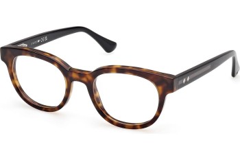 Ochelari Web WE5431 056 Rotunzi Havana