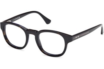 Okulary korekcyjne Web WE5453 056 Okrągłe Havana Okulary korekcyjne Web WE5453 056 Okrągłe Havana