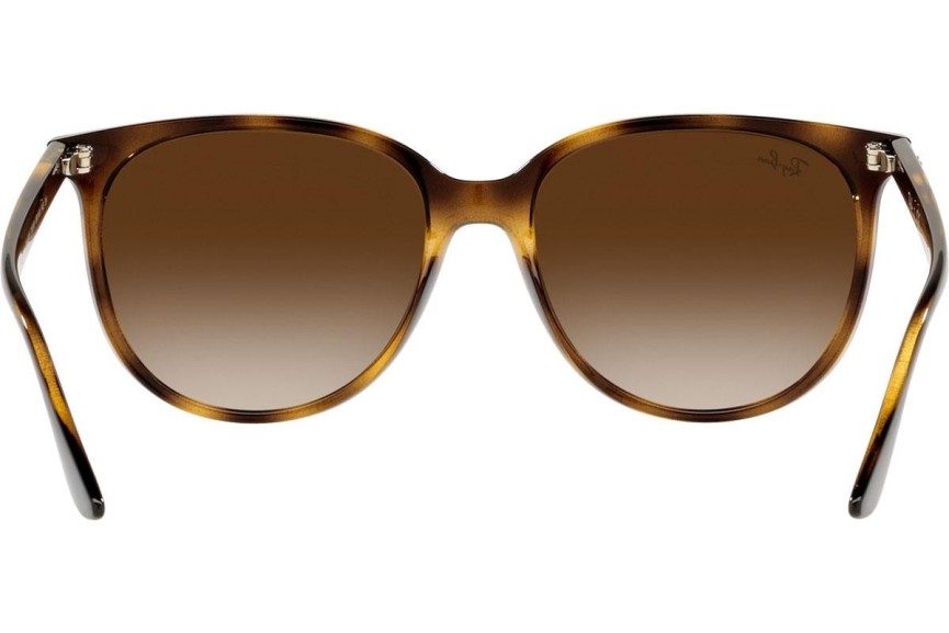 Napszemüvegek Ray-Ban RB4378 710/13 Szogletes Havana