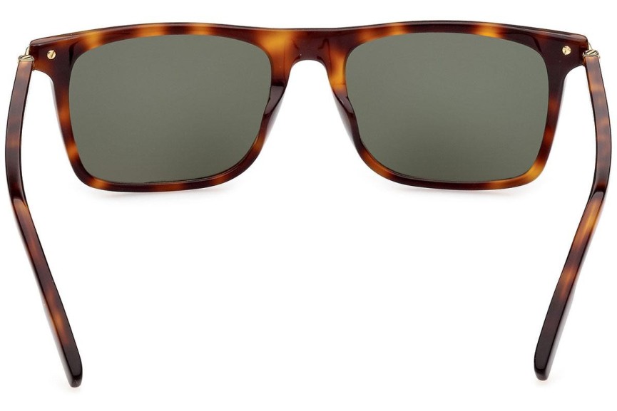 Sunglasses Zegna EZ0204 52N Kwadratowe Havana