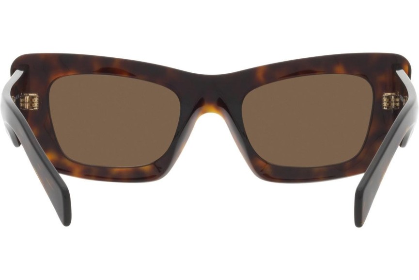 Ochelari de soare Prada PR13ZS 2AU06B Cat Eye Havana