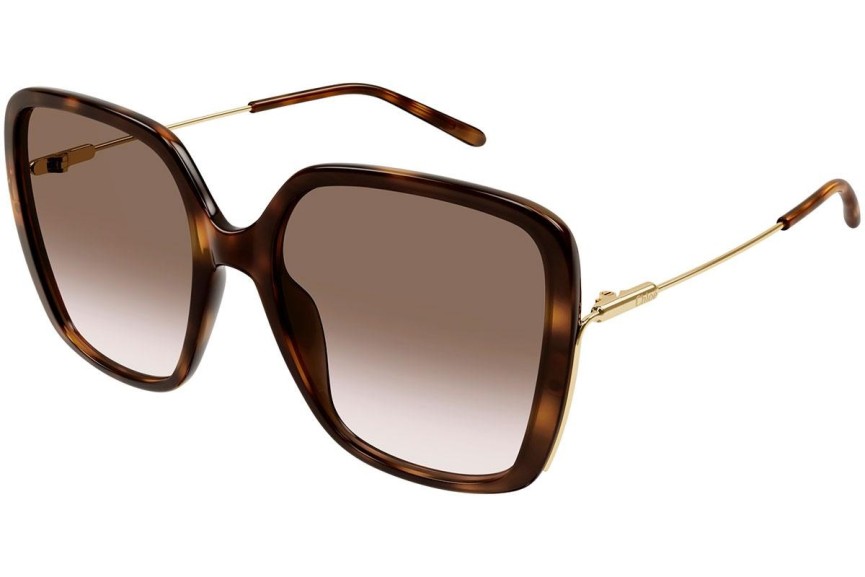 Okulary przeciwsłoneczne Chloe CH0173S 002 Kwadratowe Havana