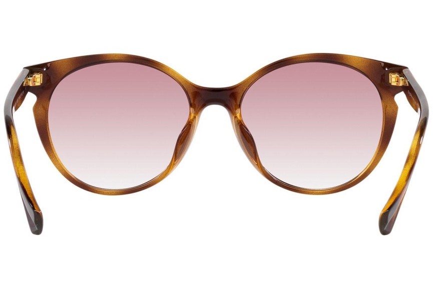 Okulary przeciwsłoneczne Ralph by Ralph Lauren RA5285U 500377 Okrągłe Havana