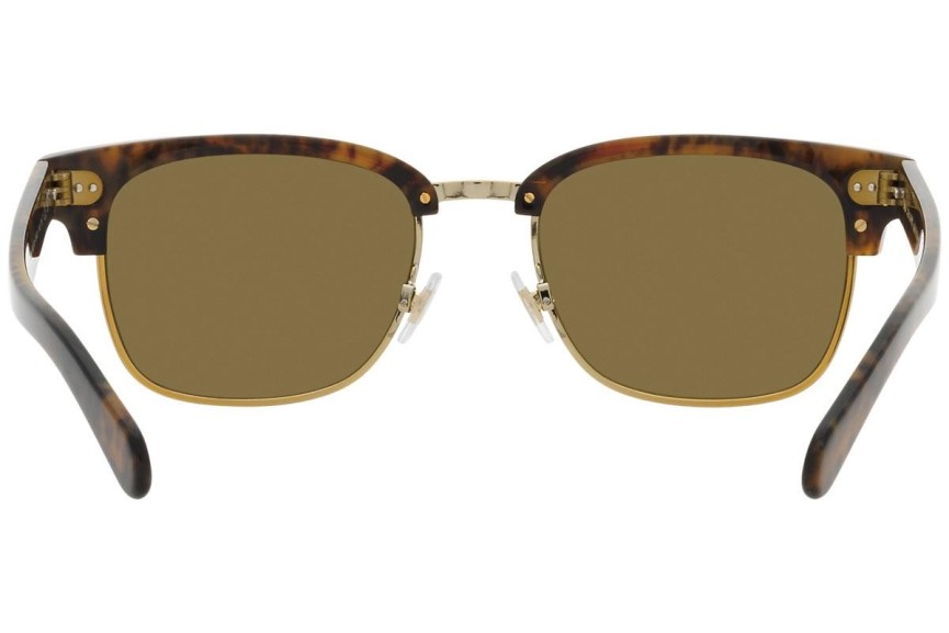 Okulary przeciwsłoneczne Polo Ralph Lauren PH4202 501773 Browline Havana