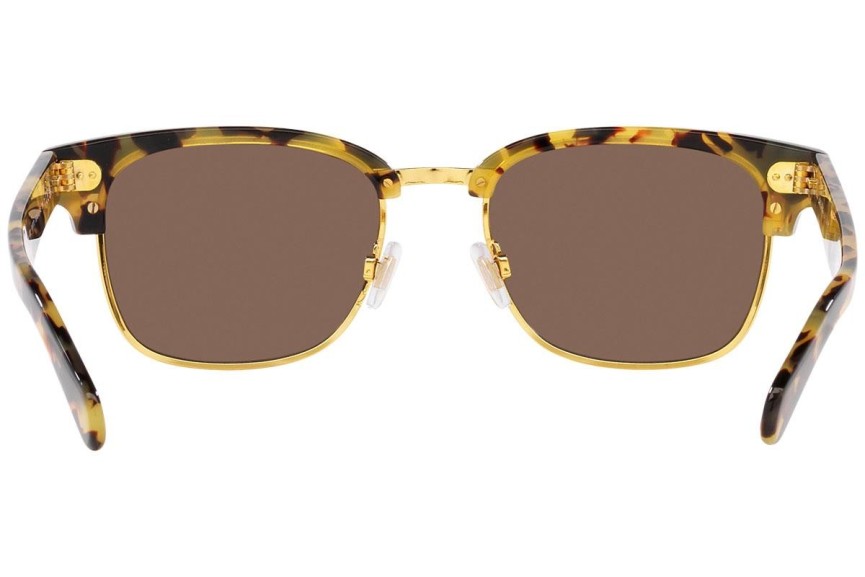 Okulary przeciwsłoneczne Polo Ralph Lauren PH4202 608773 Browline Havana