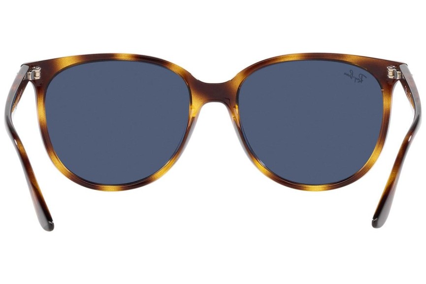 Napszemüvegek Ray-Ban RB4378 710/80 Szogletes Havana