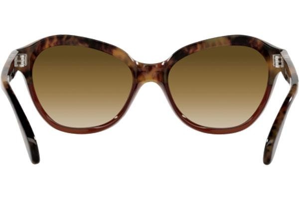 Okulary przeciwsłoneczne Persol PO0582S 112151 Kocie oczy Havana