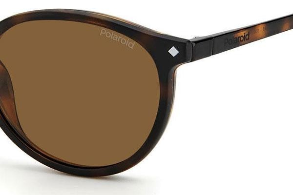 szemüvegeinket Polaroid PLD6137/CS 086/SP Polarized Kerek Havana