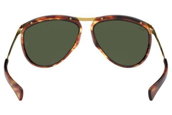 Napszemüvegek Ray-Ban Olympian Aviator RB2219 954/31 Pilota Havana