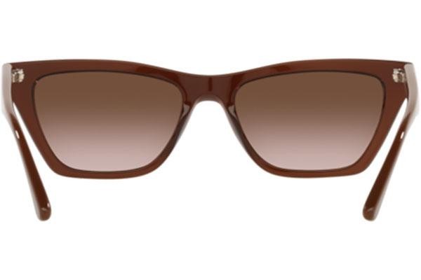 Napszemüvegek Emporio Armani EA4169 591013 Cat Eye Barna