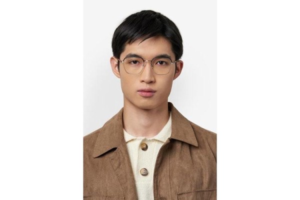 Glasses BOSS BOSS1742/F TI7 Prostokątne Srebrne