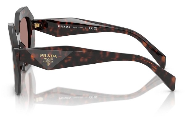 Ochelari de soare Prada PR16WS 17N60B Specială Havana