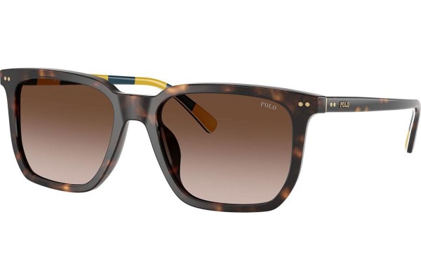 Okulary przeciwsłoneczne Polo Ralph Lauren PH4224U 500313 Kwadratowe Havana